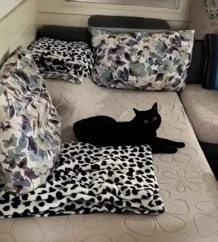 Click to view full screen Housse Canapé Extensible Motif Floral Jacquard - Universelle 4 Saisons Anti-Griffure photo review