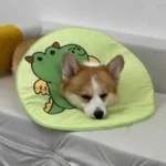 Collerette Chien Anti-Léchage | Confort & Design photo review