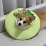 Collerette Chien Anti-Léchage | Confort & Design photo review