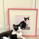 Portrait Chat Personnalisé 3D Authentique photo review