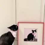 Portrait Chat Personnalisé 3D Authentique photo review