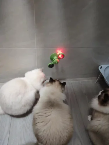 Click to view full screen Jouet Pour Chat Contre l'Ennui Molen photo review