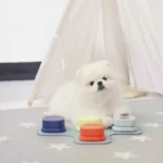 Jouet Pour Chien Interactif à Bouton Communication photo review