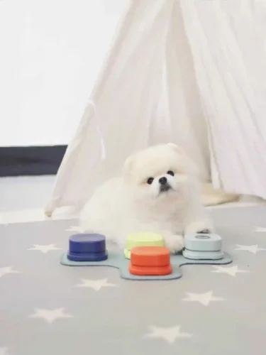 Click to view full screen Jouet Pour Chien Interactif à Bouton Communication photo review