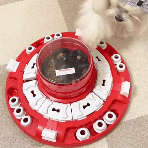 Chien résolvant un puzzle interactif ou jouant avec un jouet de stimulation mentale dans un appartement