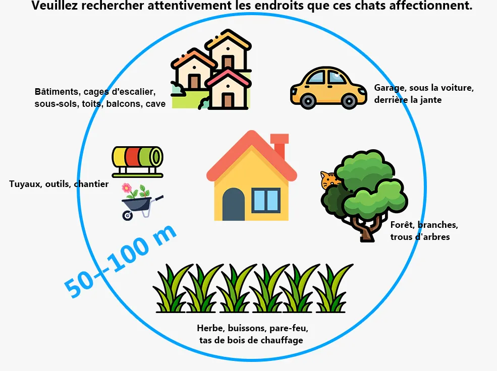 Rayon de déplacement typique d'un chat perdu en zone urbaine