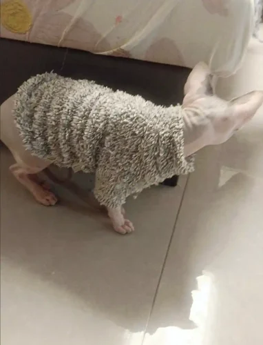 Click to view full screen Manteau Pour Chat Auta photo review