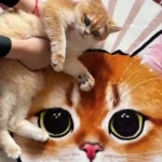 Tapis Chat Personnalisé Rond – Dessin Aquarelle photo review