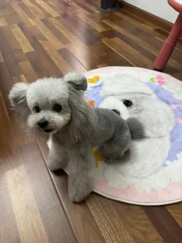 Click to view full screen Tapis Chien Personnalisé Rond – Dessin Aquarelle photo review