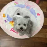 Tapis Chien Personnalisé Rond – Dessin Aquarelle photo review