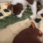 Tapis de Fouille Chien XXL Grande Forêt photo review