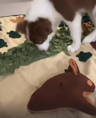 Click to view full screen Tapis de Fouille Chien XXL Grande Forêt photo review