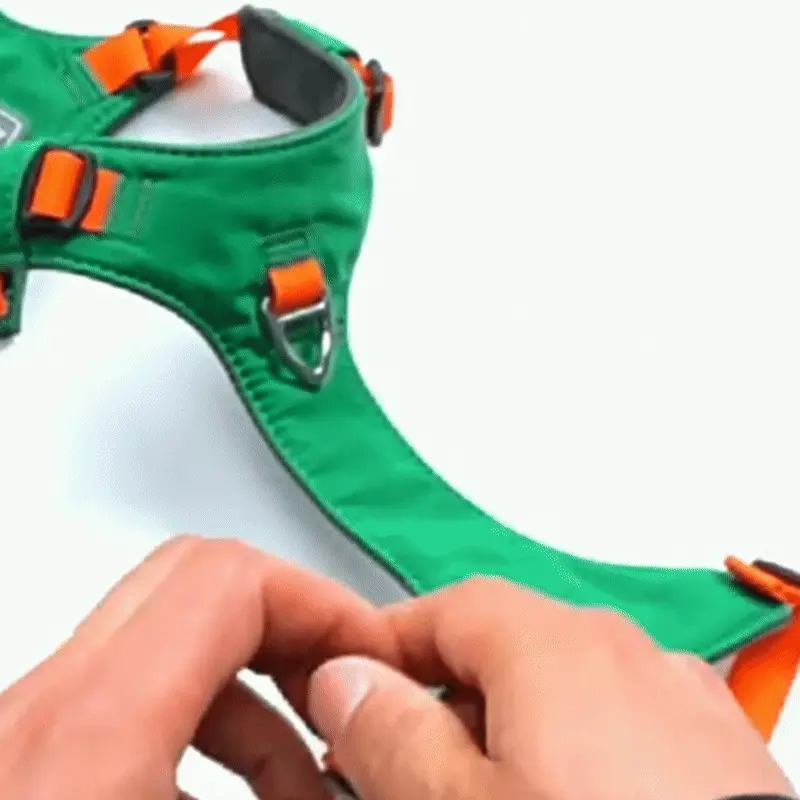 ajustable harnais petit chien