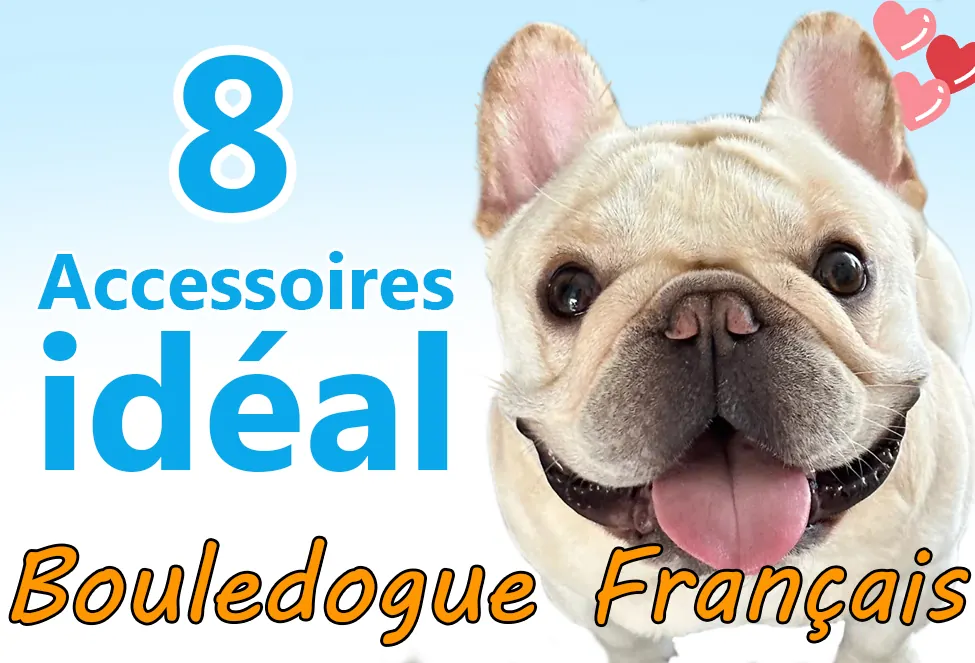 Produits Indispensables pour Bouledogue Français : 8 Accessoires Essentiels