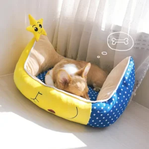 chien dort dans son panier confortable design etoile chic