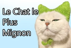 le chat le plus mignon