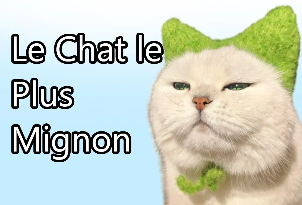 le chat le plus mignon