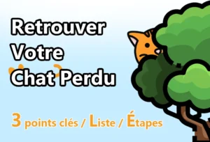 Retrouver Votre Chat Perdu