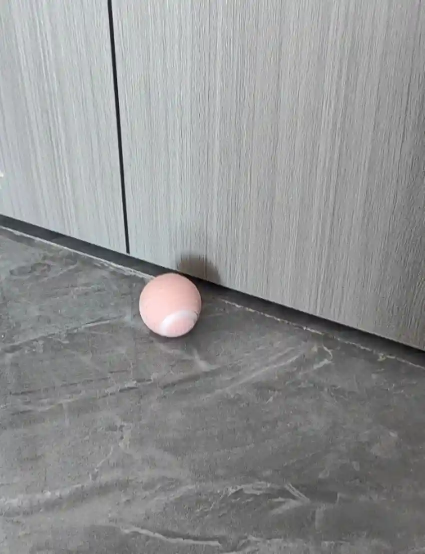 Balle Interactive Chat Intelligente Ballet photo review