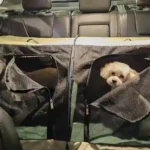 Caisse et Sac de Transport Chien Voiture 2 en 1 photo review