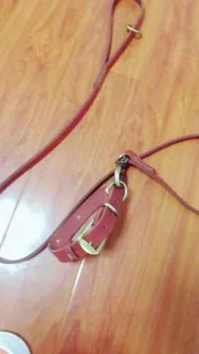 Click to view full screen Collier Chien Personnalisé Cuir Camaïeu photo review