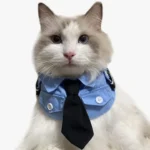 Déguisement-Policier-pour-Chat-mignon Deguisement Policier pour Chat mignon