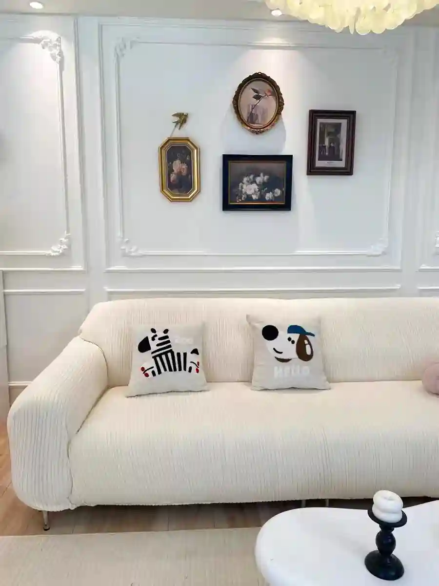 Housse Canapé Anti-Griffes Granulés Velours Installation Rapide photo review