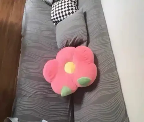 Click to view full screen Housse Canapé Extensible Pour Chat et Chien photo review