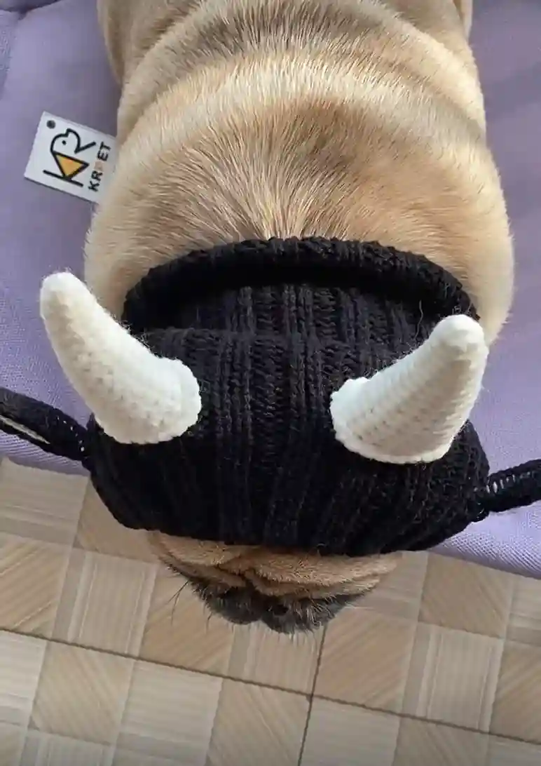 Bonnet & Snood Chien Meuh photo review