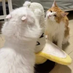 Poteau Griffoir Chat Banane photo review