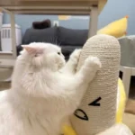 Poteau Griffoir Chat Banane photo review