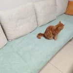 Protège Canapé Pour Chat Imperméable Anti Griffes photo review