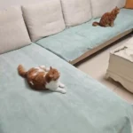 Protège Canapé Pour Chat Imperméable Anti Griffes photo review