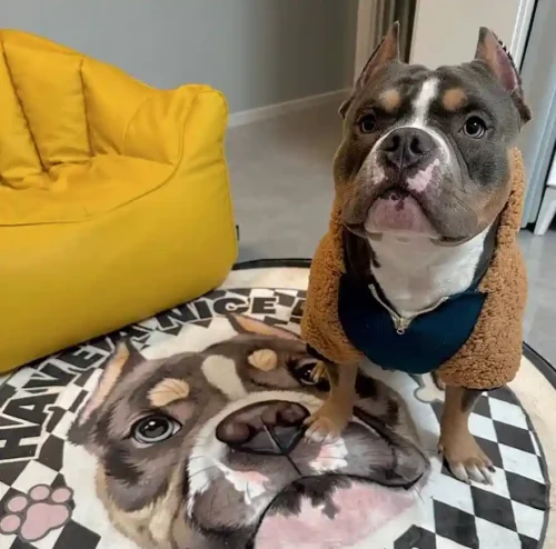 Click to view full screen Tapis Chien Personnalisé Rond – Dessin Aquarelle photo review