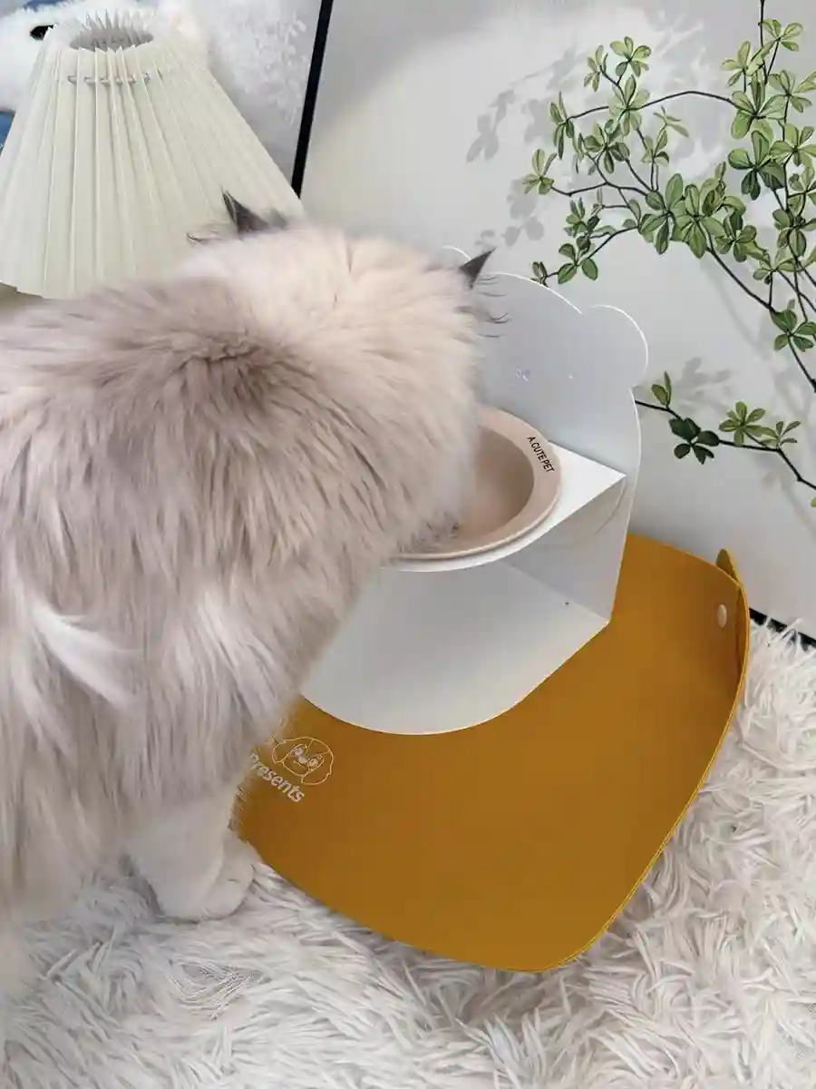 Tapis Gamelle Chat en Silicone Antidérapant - 3 Couleurs au Choix photo review