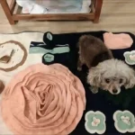 Tapis de Fouille Chien Terrazza photo review