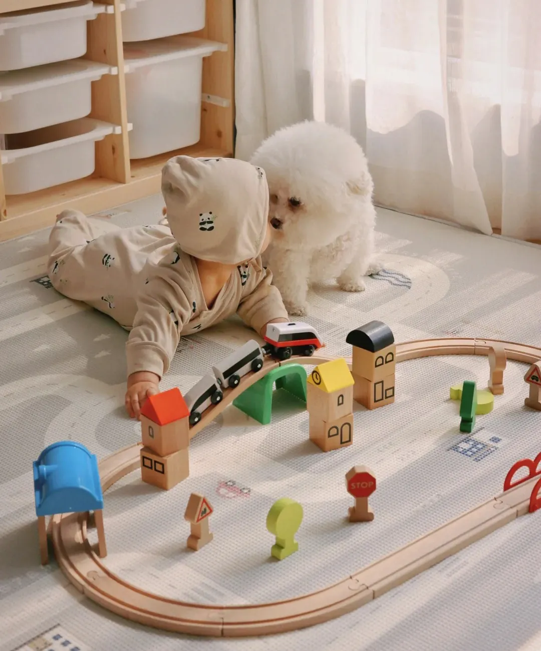 Bichon Frisé jouant avec un enfant dans un salon confortable