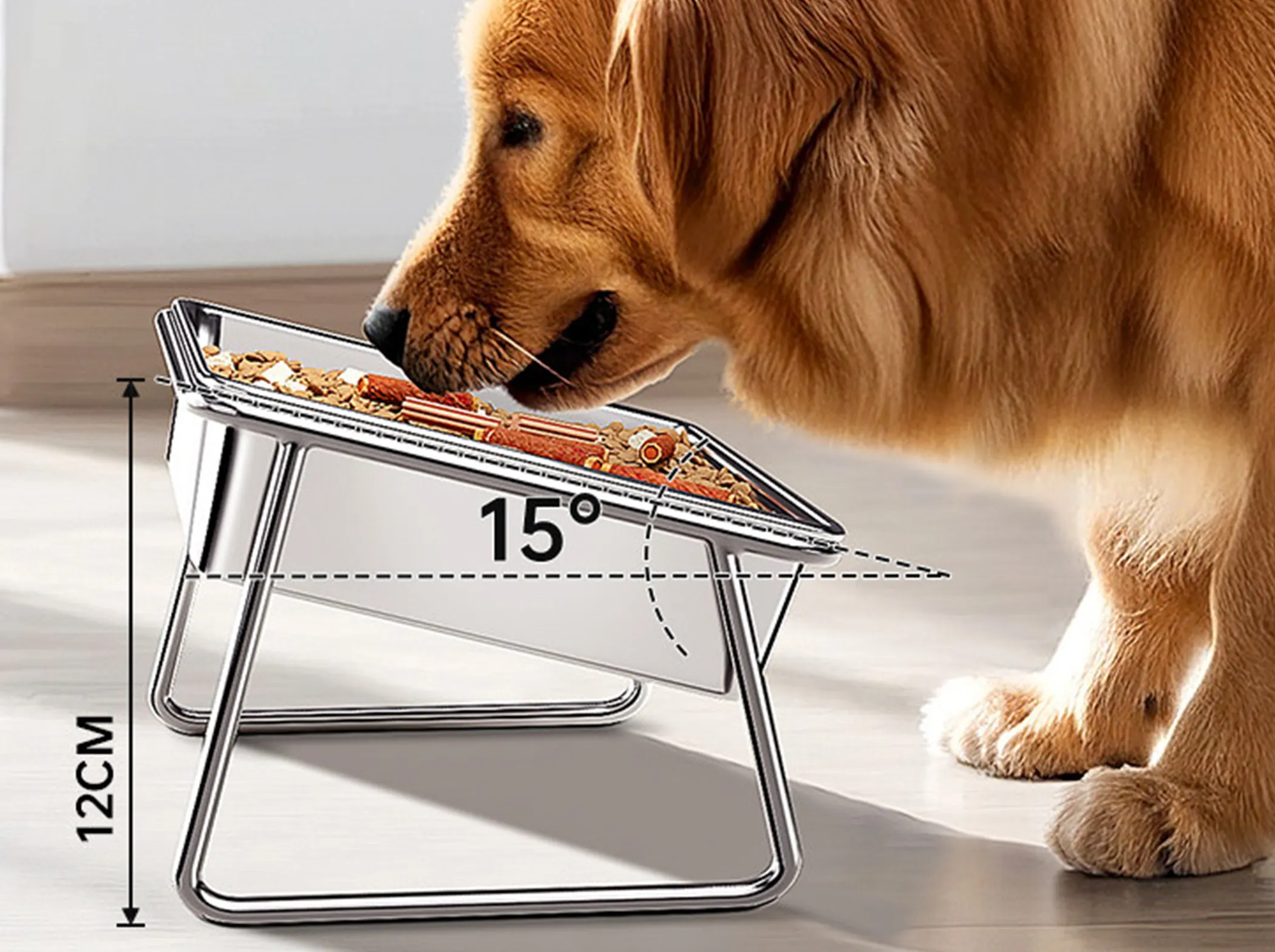 Le Chien le Plus Grand du Monde : Records, Races Équipement essentiel pour chien géant : gamelle surélevée, grand panier et accessoires renforcés