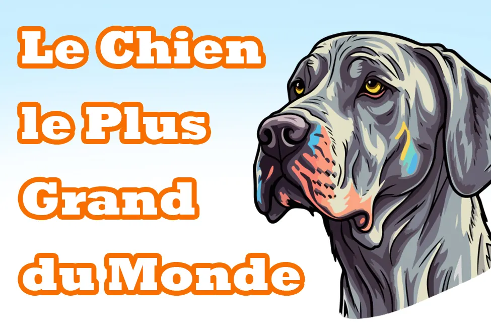 Le Chien le Plus Grand du Monde : Records, Races le chien le plus grand du monde