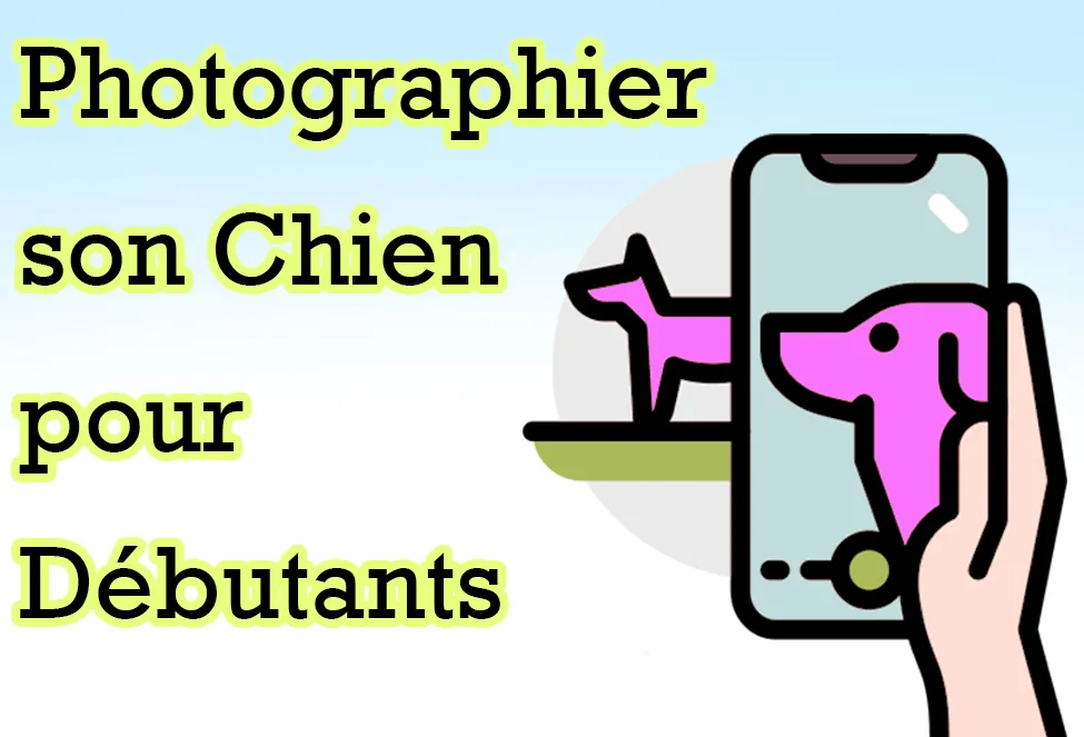 Guide Photo de Chien pour Débutants | Conseils Pratiques photographier son chien pour debutants