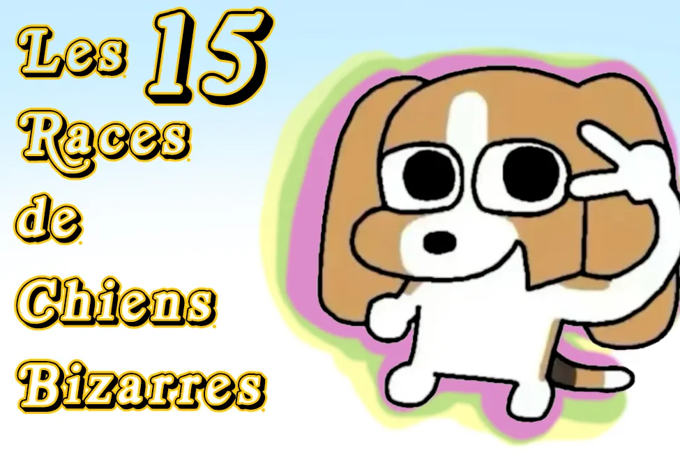 Les 15 Races de Chiens Bizarres les Plus Fascinantes du Monde Les 15 Races de Chiens Bizarres les Plus Fascinantes du Monde