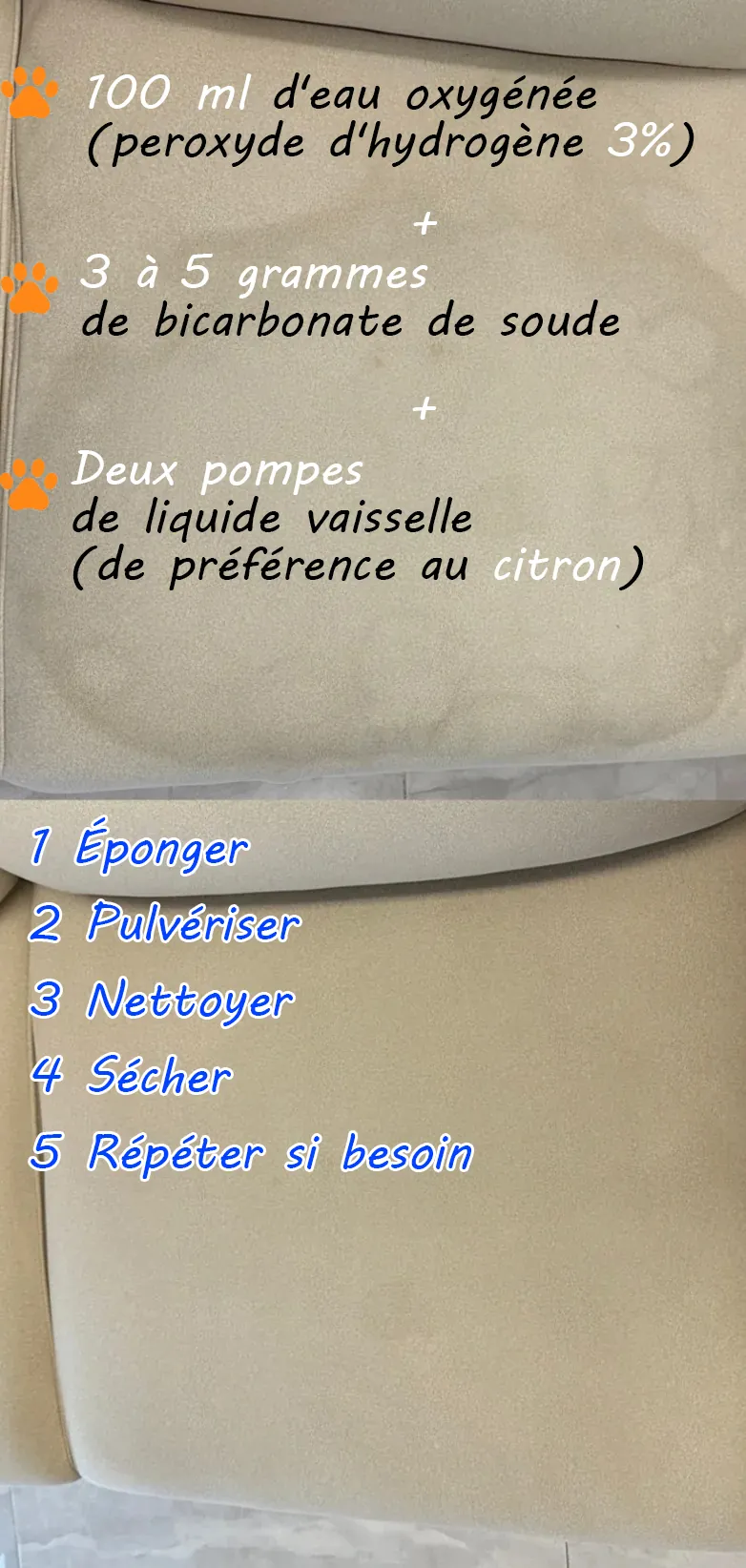 Comment Enlever l'Urine de Chat sur le Canapé et le Matelas : Solution Efficace Coussin de canapé traité séchant au soleil sur un balcon - démonstration de la méthode de séchage naturel optimale