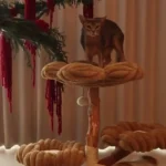 Arbre à Chat en Bois Flotté avec 3 Hamacs photo review