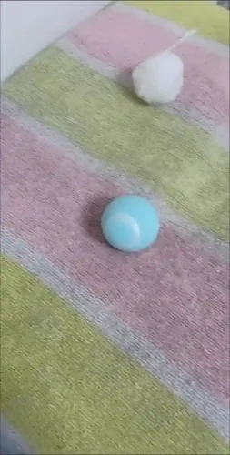 Click to view full screen Balle Interactive Chat Intelligente Ballet photo review