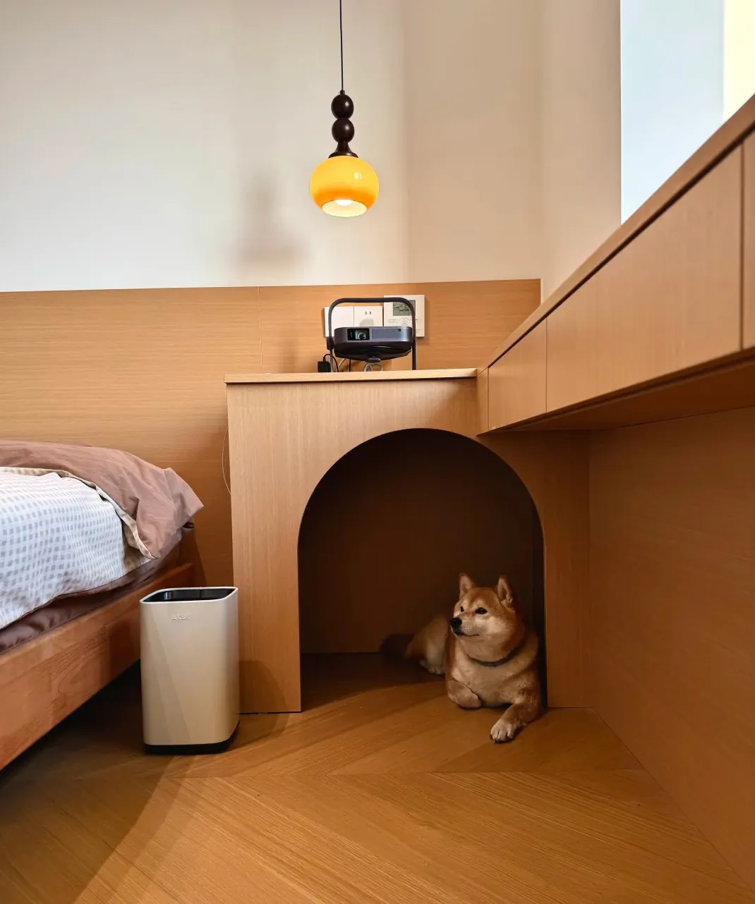 Chien d'Appartement : 12 Races Idéales pour la Vie en Intérieur Plan d'aménagement optimisé d'un appartement de 40m² montrant les zones dédiées au chien : repos, jeu, alimentation