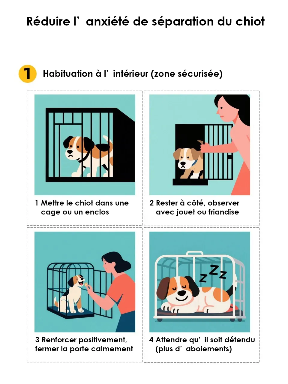 Quel Chien Peut Rester Seul Toute la Journée ? 11 Races Indépendantes Calendrier d'adaptation progressive montrant l'augmentation graduelle de la durée de solitude sur 6 semaines