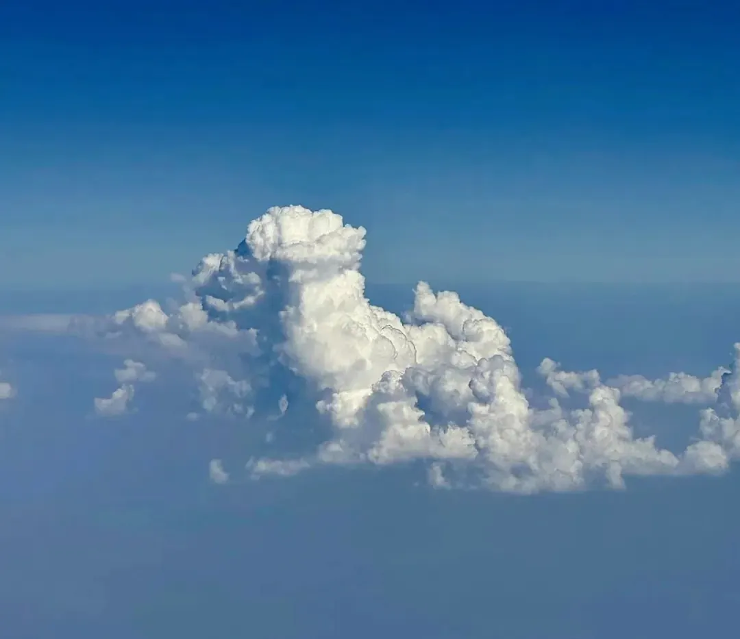 Comment faire le deuil de son chien : étapes et conseils pour traverser cette épreuve Le chiot s'est transformé en nuage