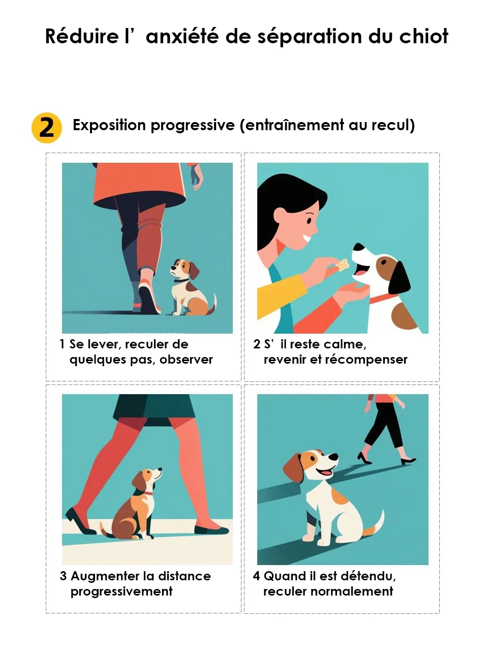 Quel Chien Peut Rester Seul Toute la Journée ? 11 Races Indépendantes Calendrier d'adaptation progressive montrant l'augmentation graduelle de la durée de solitude sur 6 semaines
