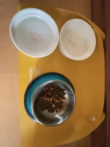 Tapis Gamelle Chat en Silicone Antidérapant - 3 Couleurs au Choix photo review