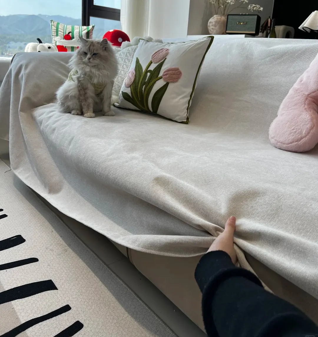 Comment Enlever l'Urine de Chat sur le Canapé et le Matelas : Solution Efficace